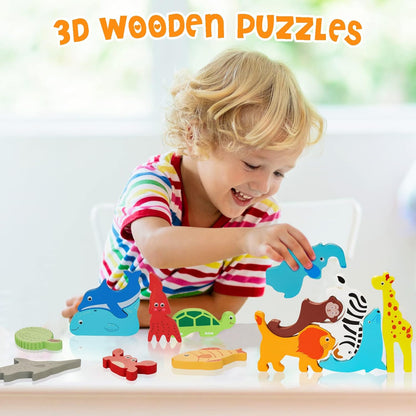 3D Wooden Framed Puzzles